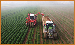 LandExpert Dienstleistungen OHG