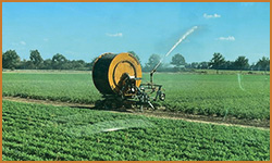 LandExpert Dienstleistungen OHG